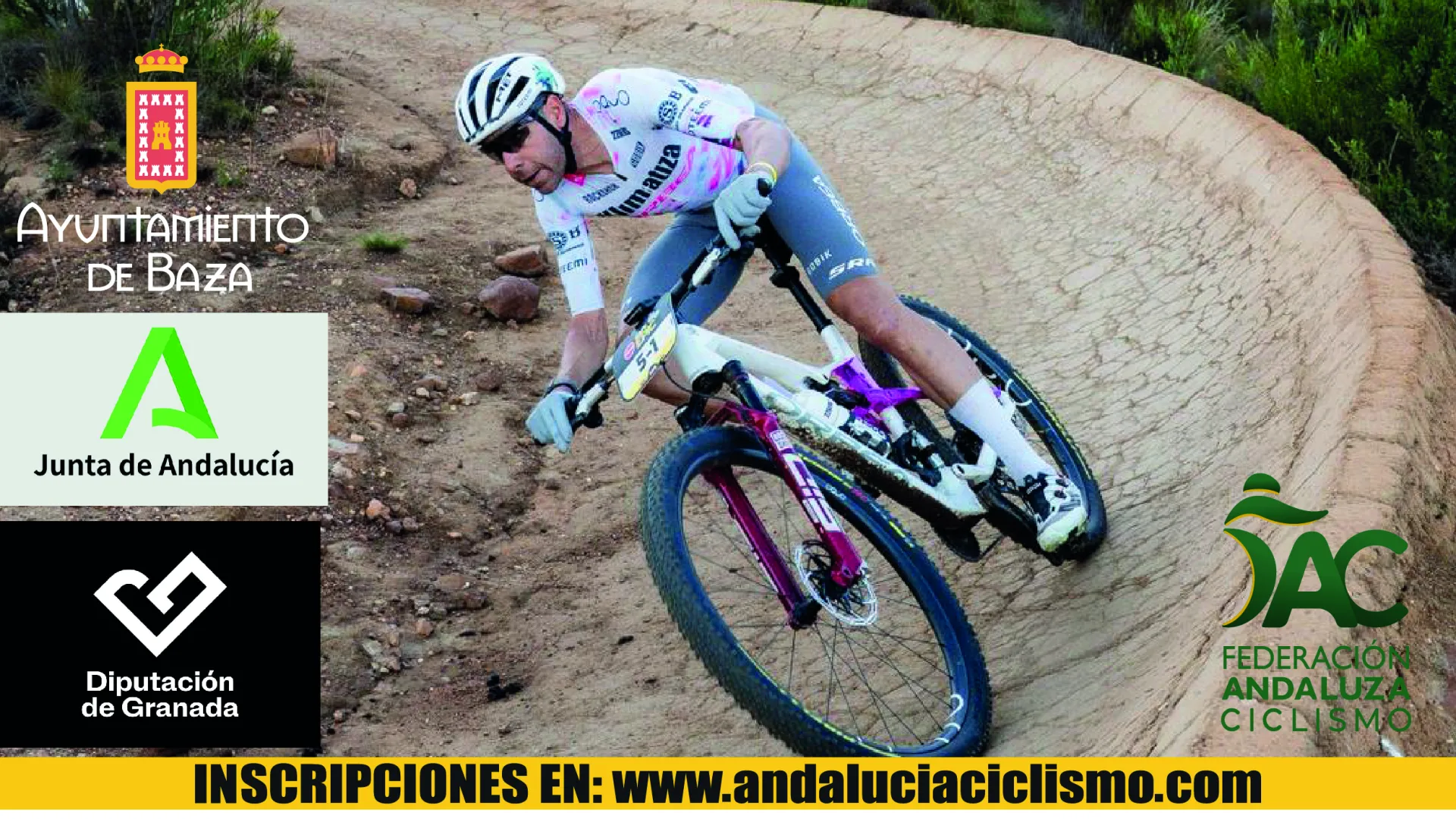 Cartel IX Rally de Escuelas Ciudad de Baza Gran Premio David Valero