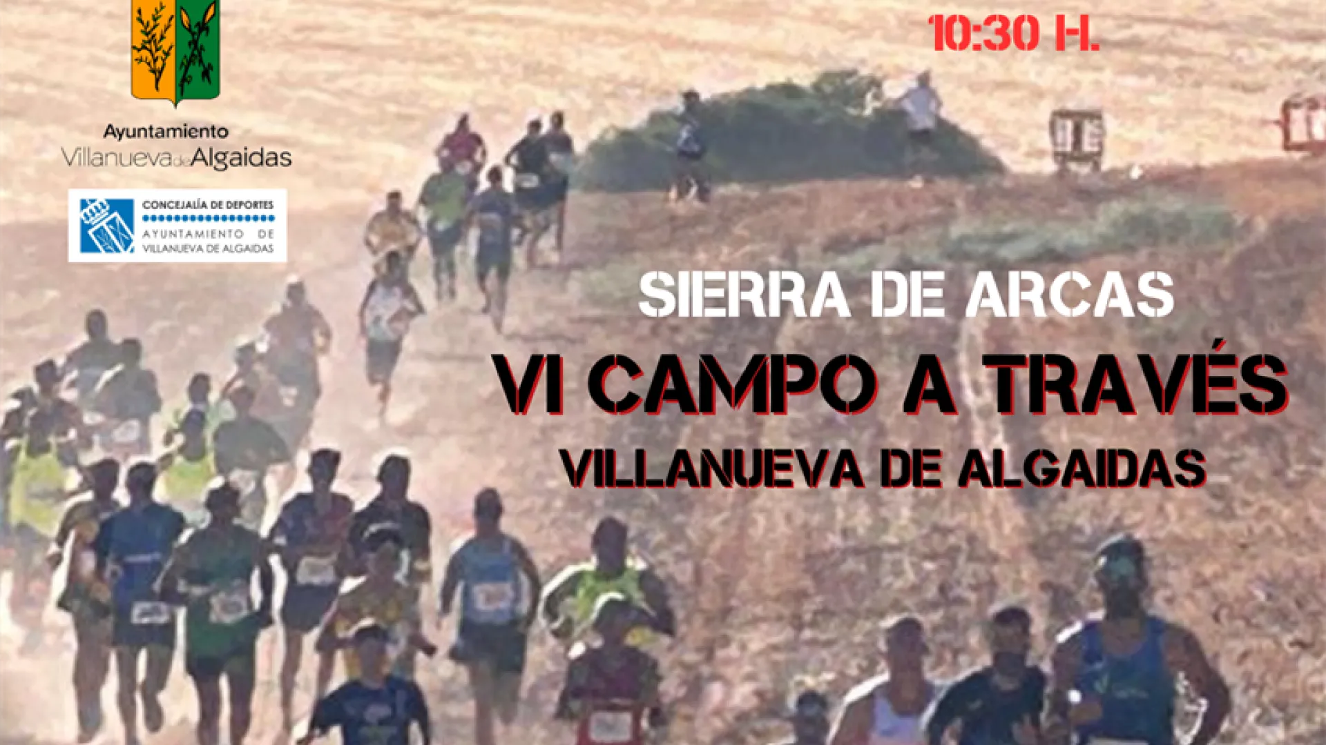 Cartel VI Campo a Través Villanueva de Algaidas