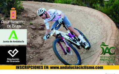Cartel IX Rally de Escuelas Ciudad de Baza Gran Premio David Valero